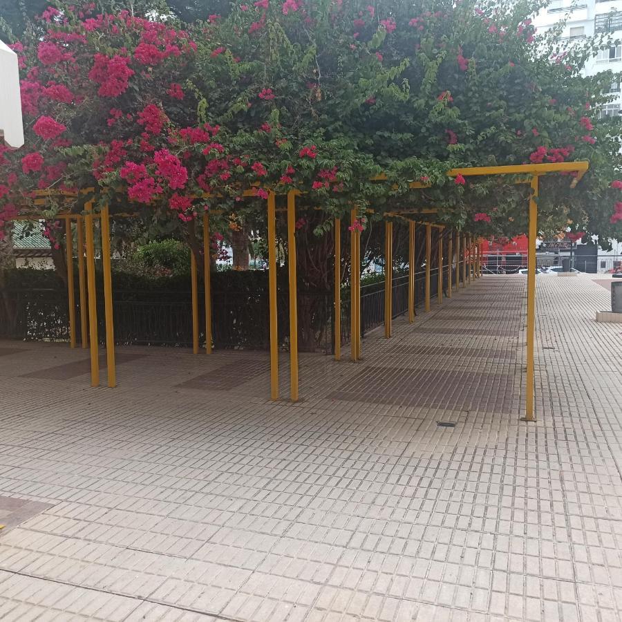 Loft Mediterraneo Μάλαγα Εξωτερικό φωτογραφία